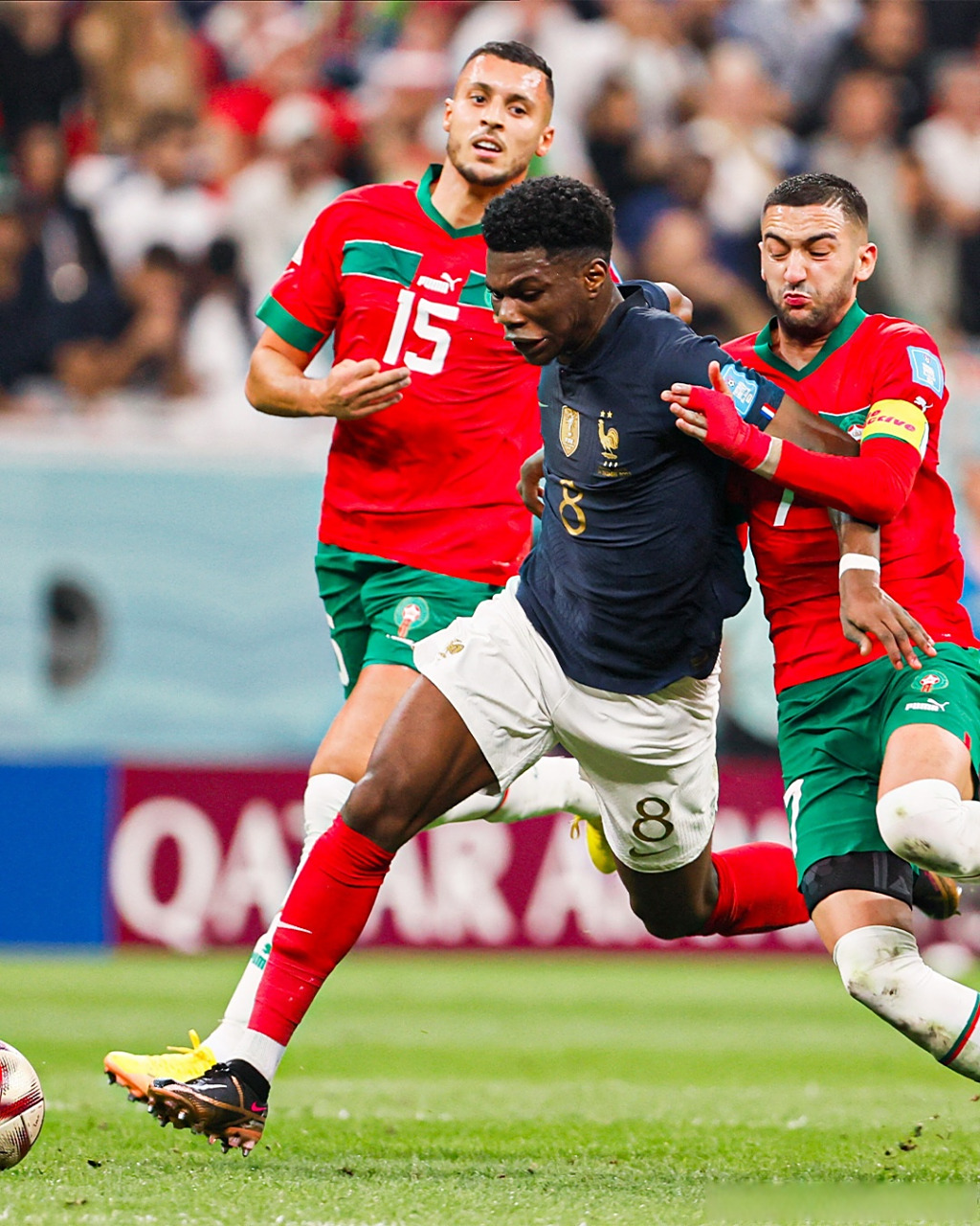 法国险胜韩国，楚阿梅尼统治全场