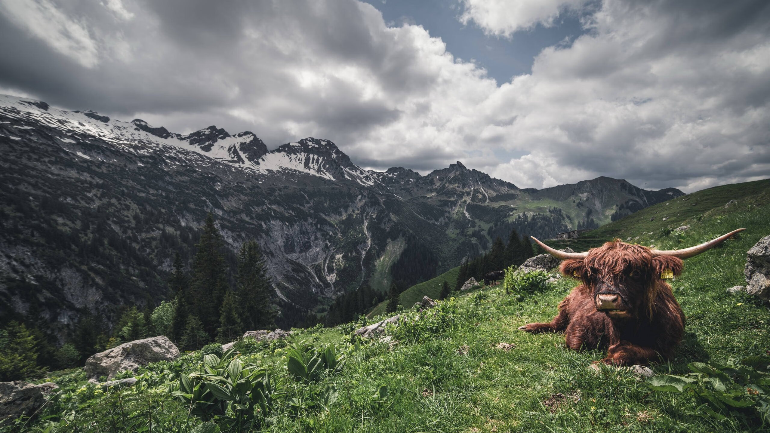 沪深对决，谁主沉浮？恩比德制胜一击定乾坤
