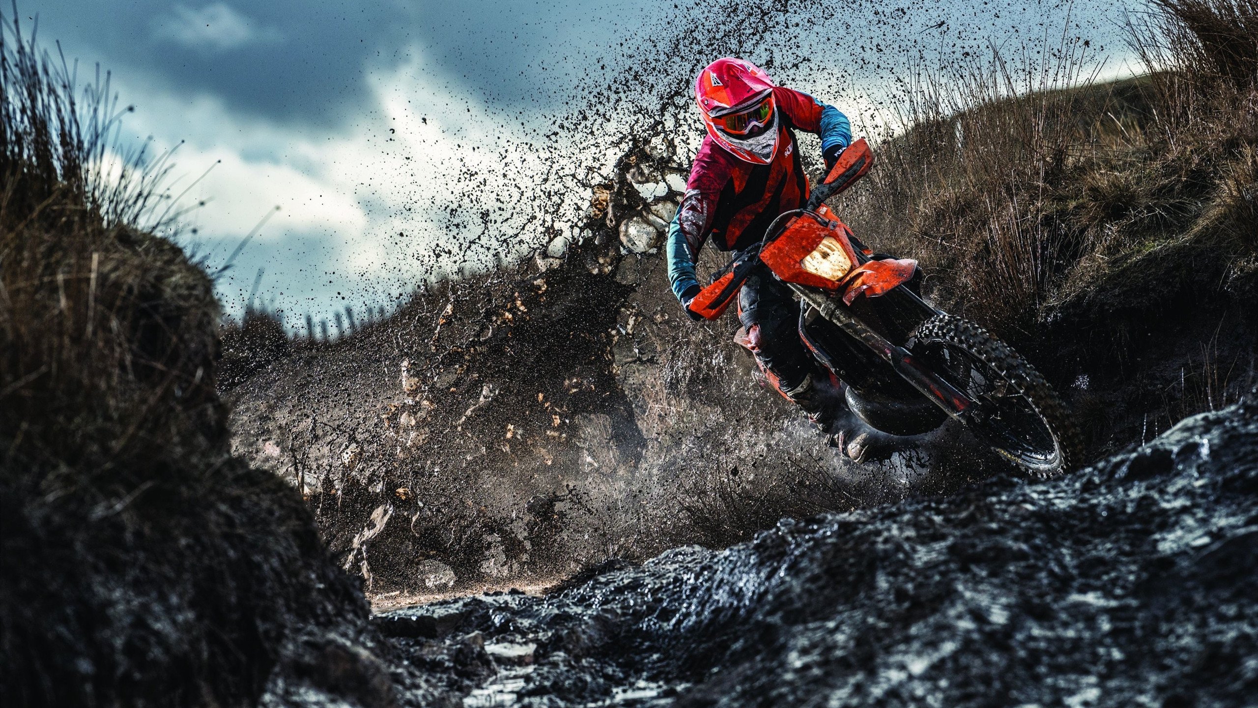 开云体育中国官网-张继科统治全场，韩国队完胜日本队，一场技术与意志的完美风暴