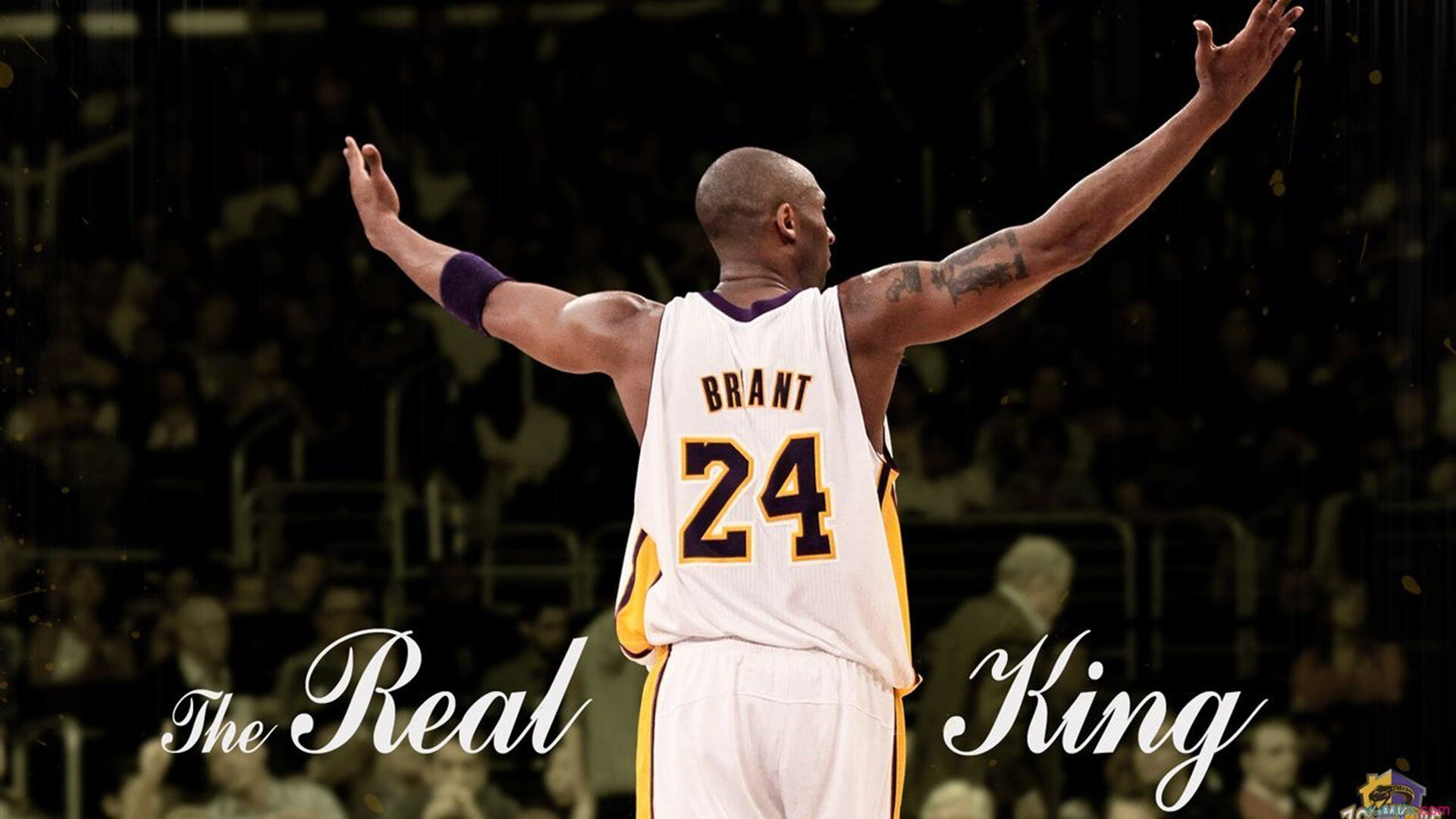 开云体育视频直播-从温网逆转到拉沃尔杯统治，鲁德如何完成从挑战者到王者的蜕变